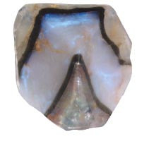 June Birthstone Gift Set (Moonstone)